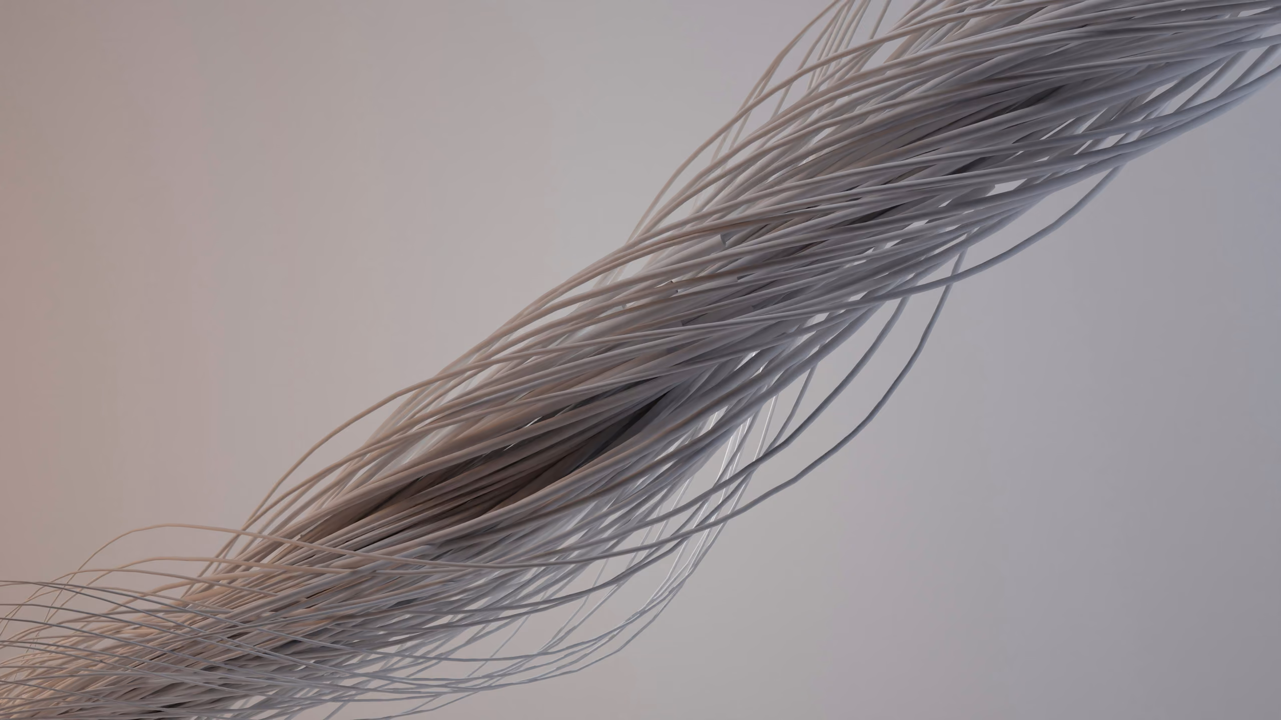 Abstract Twisted Rope